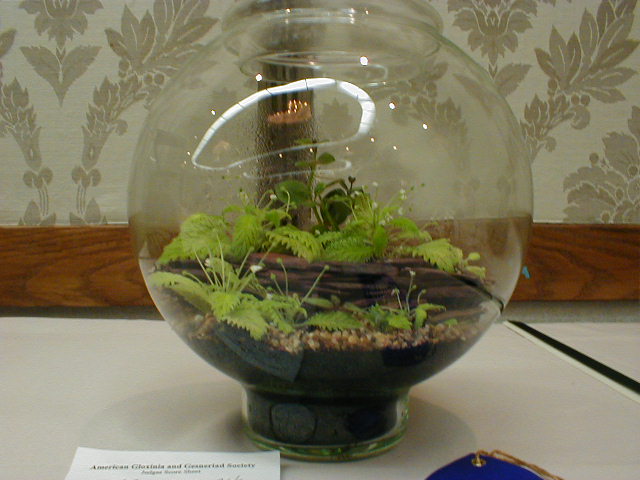 Curved terrarium
