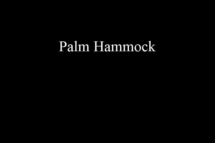 PalmHammock