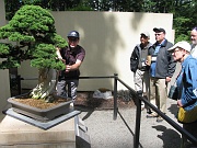 2-17-Attendees learning about the bonsai collection