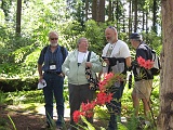 2-6-Continuing on the species rhododendron garden tour