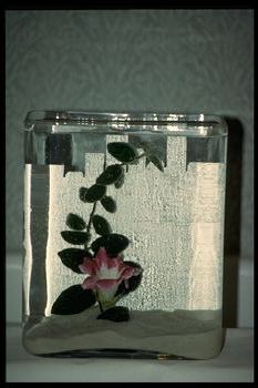 "Chicago Lakefront" (16500 bytes)