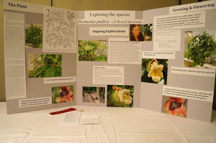 2014 Convention - Class 77 Exhibit illustrating phases of scientific or historical research - Judges Award of Merit
