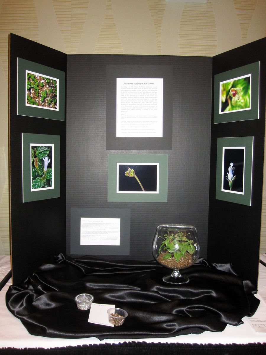 2014 Convention - Class 78 Exhibit of plant material with educational information