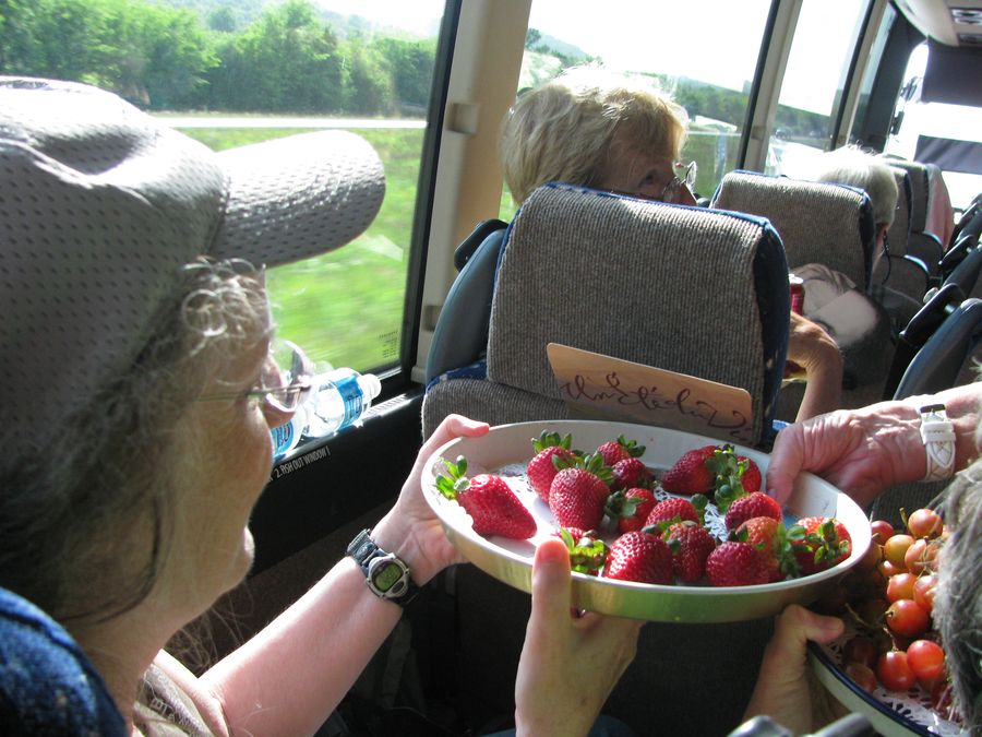 Afternoon fruit, cheese, and drinks on the bus ride back