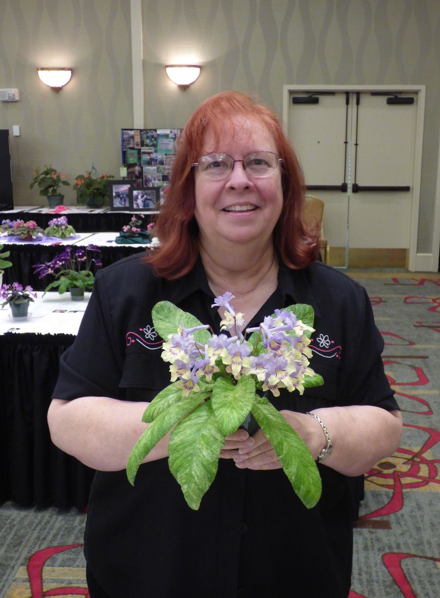 Dale with her Best in Show plant of <i>Streptocarpus</i> ‘Dale’s Polar Canary’