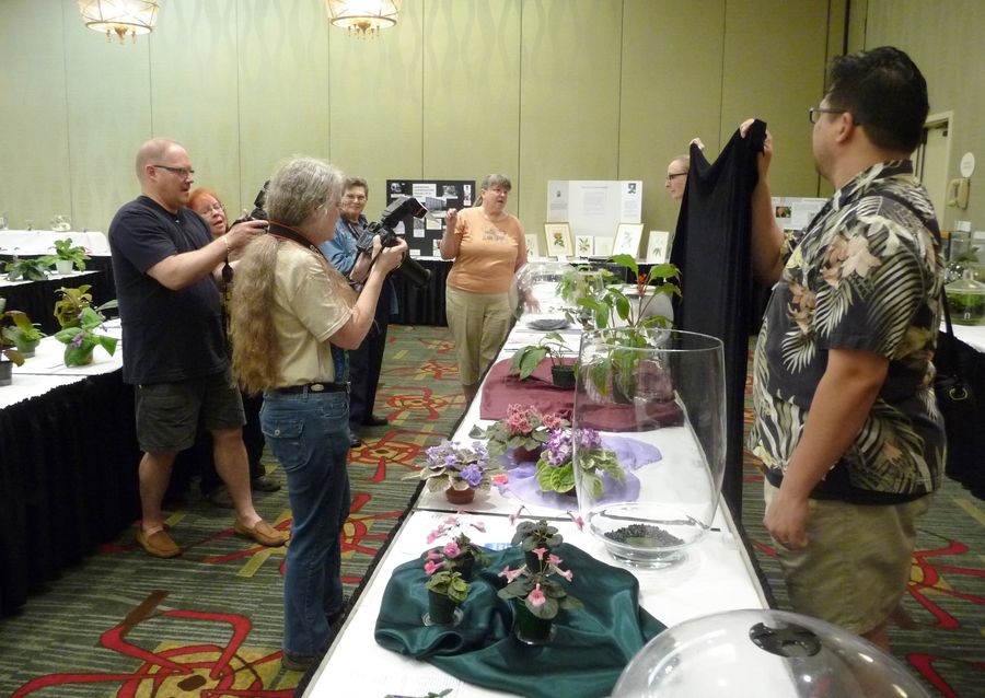 Official flower show photo team led by Julie Mavity-Hudson