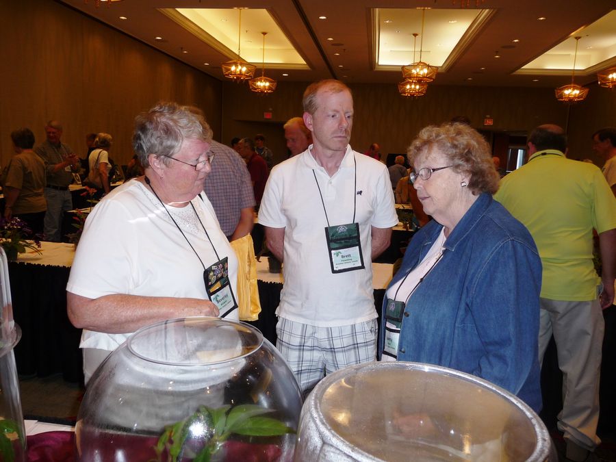 Nancy Kast (right) discussing her entries with Bev Williams and Brett Flewelling