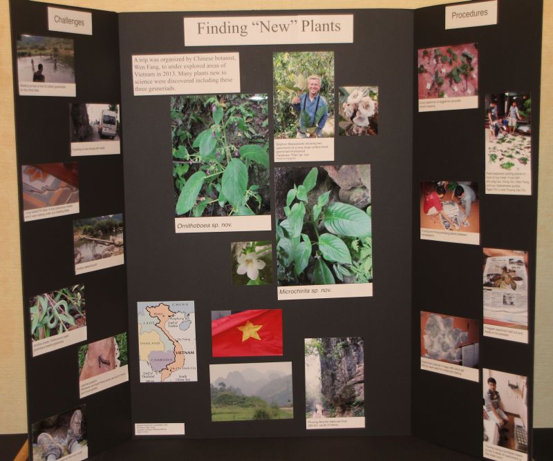 2015 Convention – Educational Exhibits - Class 77 Exhibit illustrating phases of scientific or historical research