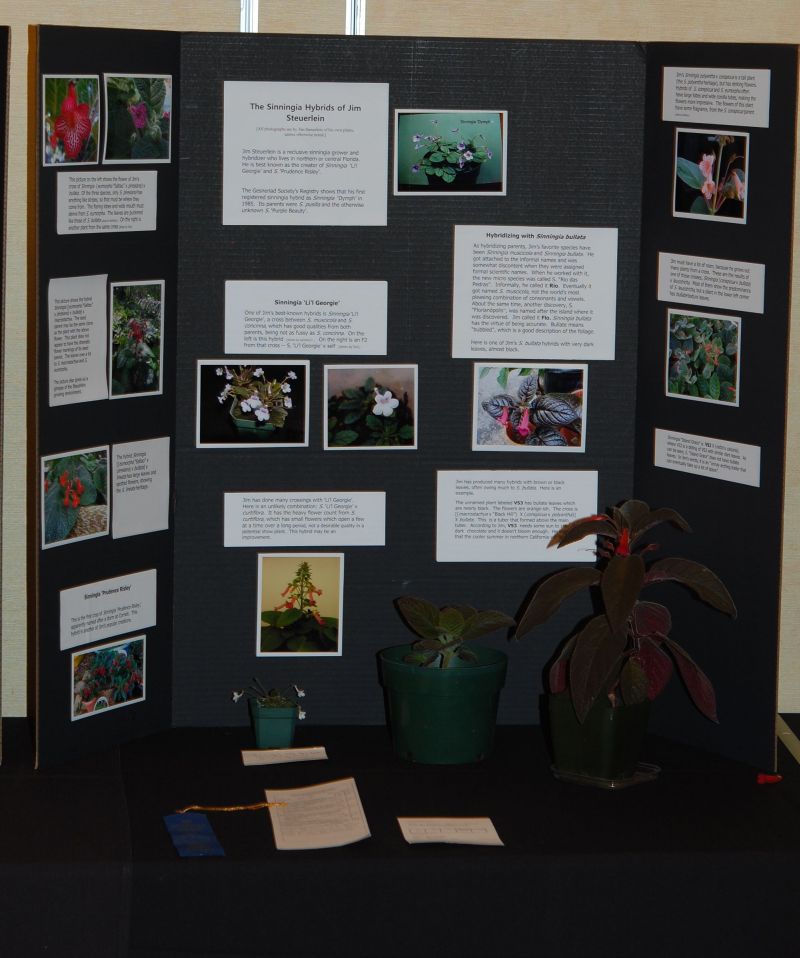 2015 Convention – Educational Exhibits - Class 78 Exhibit of plant material with educational information <br>BEST COMMERCIAL/EDUCATIONAL<br>BEST IN SECTION S – EDUCATIONAL