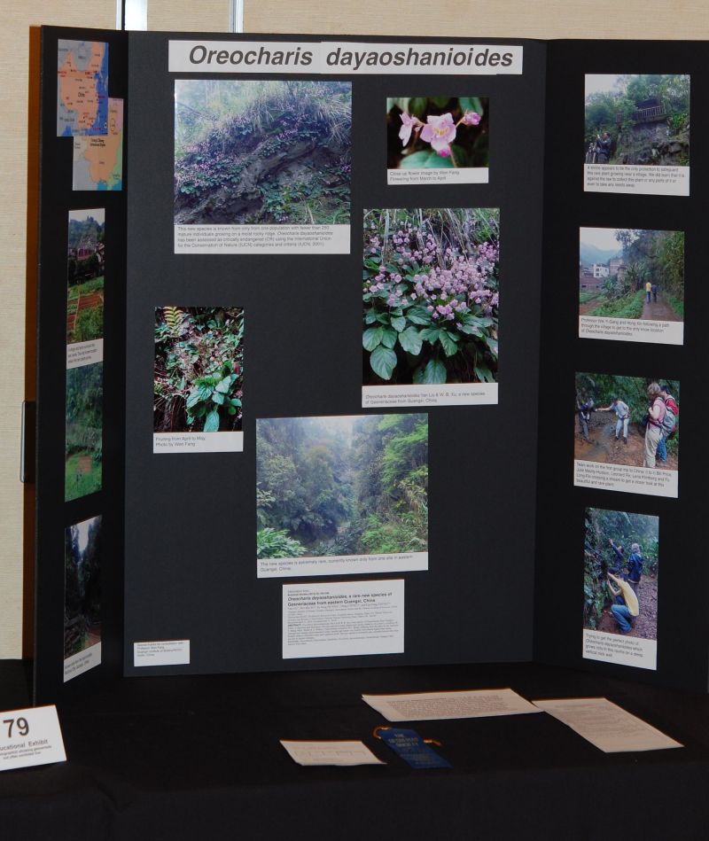 2015 Convention – Educational Exhibits - Class 79 Exhibit of photograph(s) of gesneriad plant material that because of its seasonal nature or rarity in cultivation is not often exhibited live<br>JUDGES AWARD OF MERIT