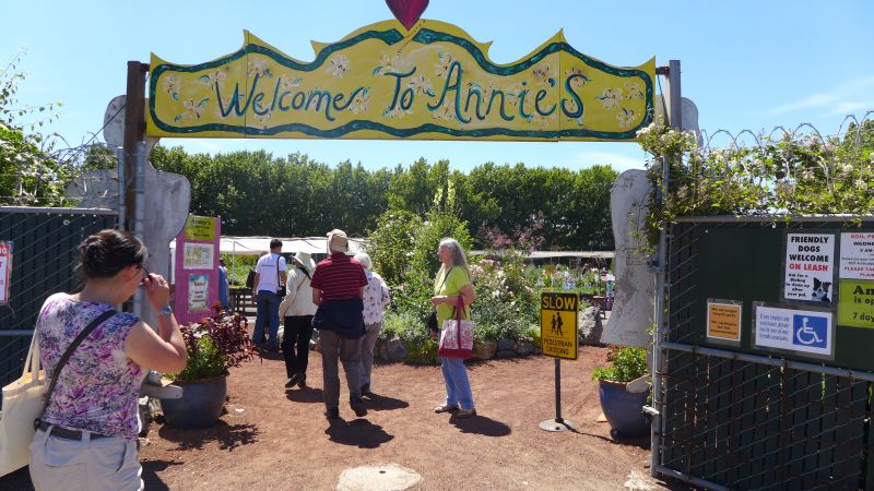 Arriving at Annie's Annuals