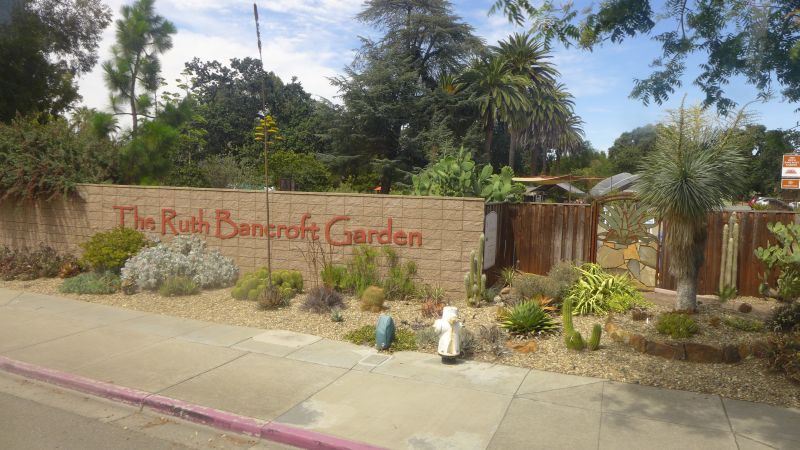 Arrival at the Ruth Bancroft Garden