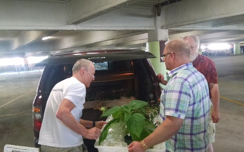 Bill Price and helpers packing plants back into his car