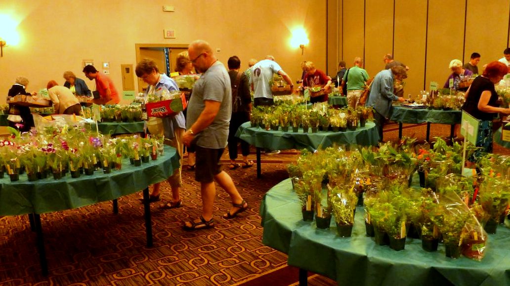 The plant sales room