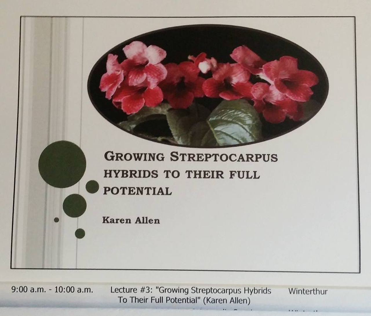 The Streptocarpus presentation by Karen Allen