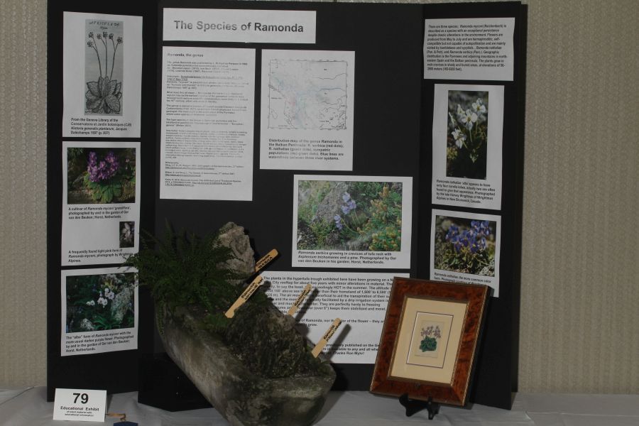 2018 Convention<br>Educational Exhibits<br>Class 79 – Exhibit of plant material with educational information<br>BEST IN THE COMMERCIAL/EDUCATIONAL DIVISION<br>BEST IN SECTION R – EDUCATIONAL EXHIBIT
