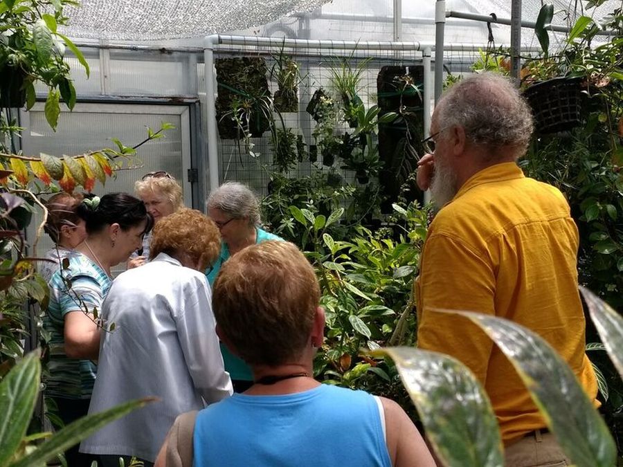 Guided greenhouse tours