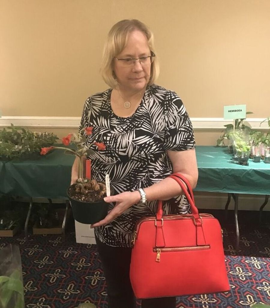 Judy Zinni with her color-coordinated Sinningia purchase