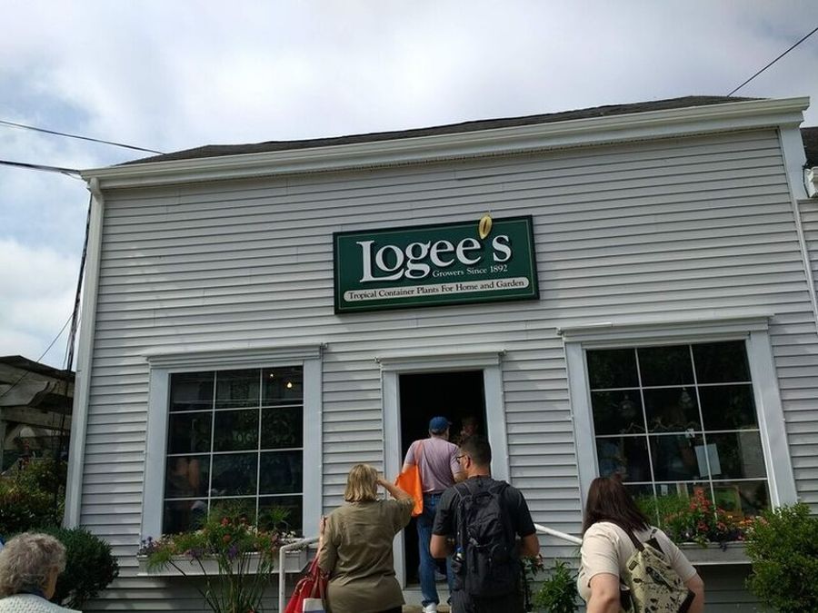 Arrival at Logee’s in Connecticut