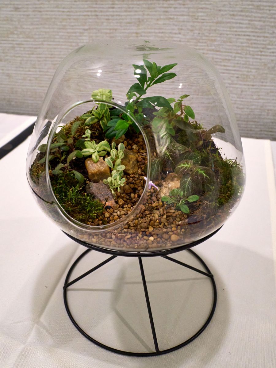 Terrarium, curved – exhibited by Jill Fischer