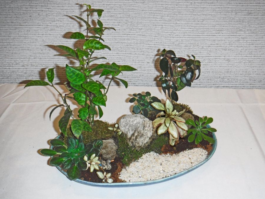 Tray Landscape – exhibited by Barbara Stewart