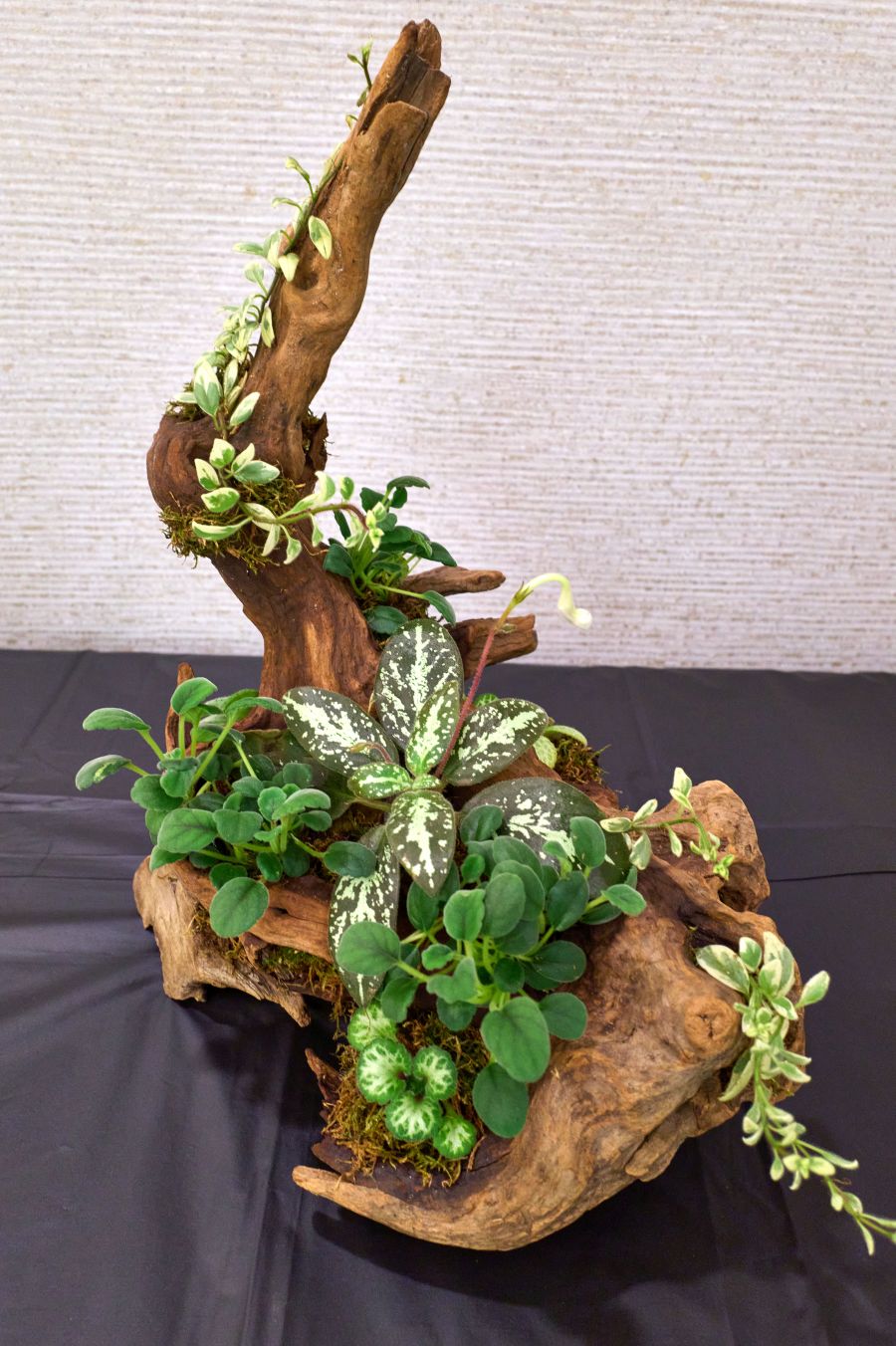 Natural Garden – exhibited by Jill Fischer</br>