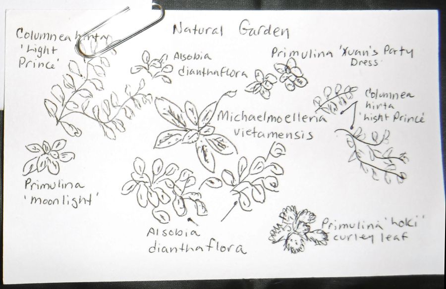 Natural Garden – exhibited by Jill Fischer</br>
